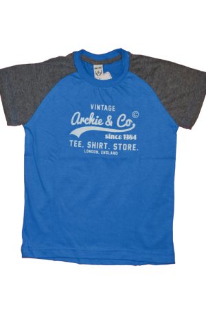 Remera vintage