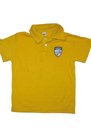 Remera escudo