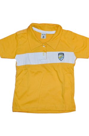 Remera raya